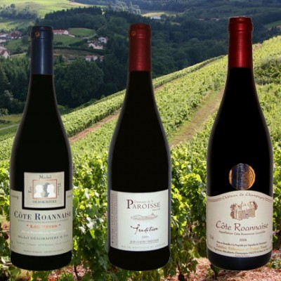 Découverte de l'AOC Côte Roannaise, vignoble de la Loire