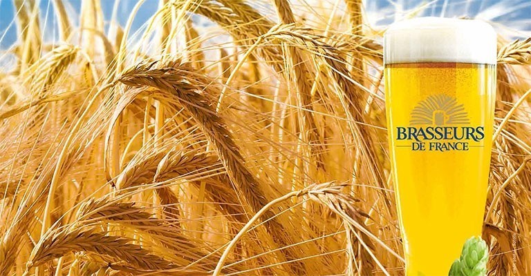 Tout connaitre sur la fabrication de la Bière