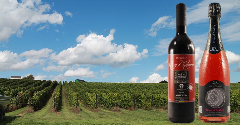 Domaine du Ry d’Argent en Belgique