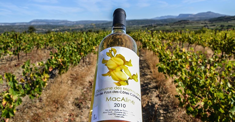 Domaine des Mathouans, des vins en Roussillon