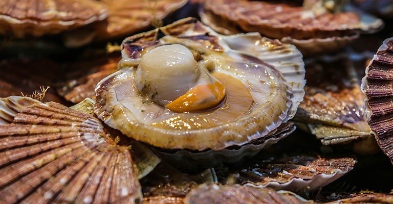 Fête de la Coquille Saint Jacques à Montmartre