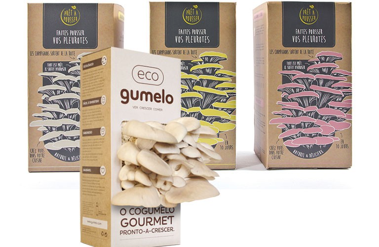 SIAL 2014 Les produits français triomphent