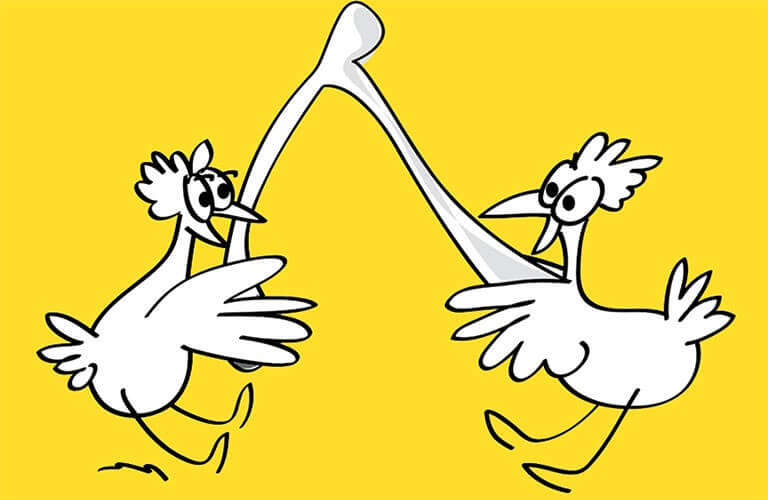 De la basse cour à Paris ou quand le poulet vient picorer à la capitale