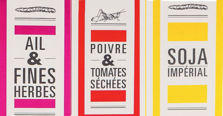 Notre avenir alimentaire passera t'il par les insectes ?