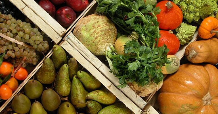 Gaspillage alimentaire, lutte contre contre le gaspillage alimentaire, fruits et légumes, amendement contre le gaspillage alimentaire,