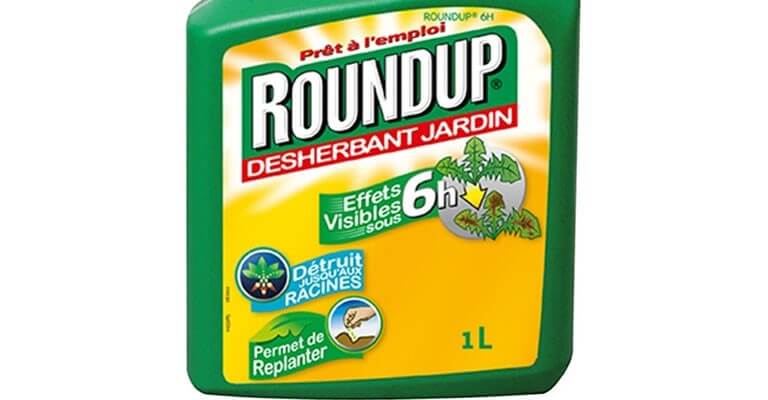 Ecologie - Ségolène Royal enfin en guerre contre Monsanto