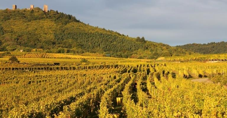 Pour les fêtes on craque pour les petites bulles d'Alsace !