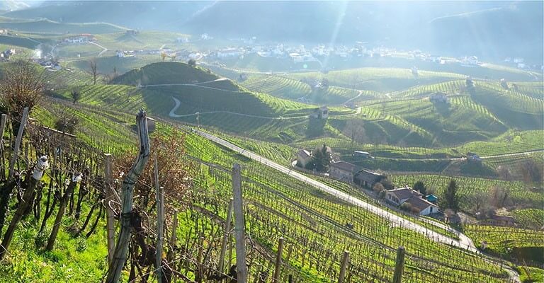 Le Prosecco dans tous ses états