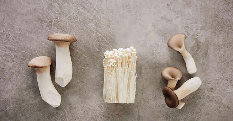 La Corée, nouvel eldorado du champignon