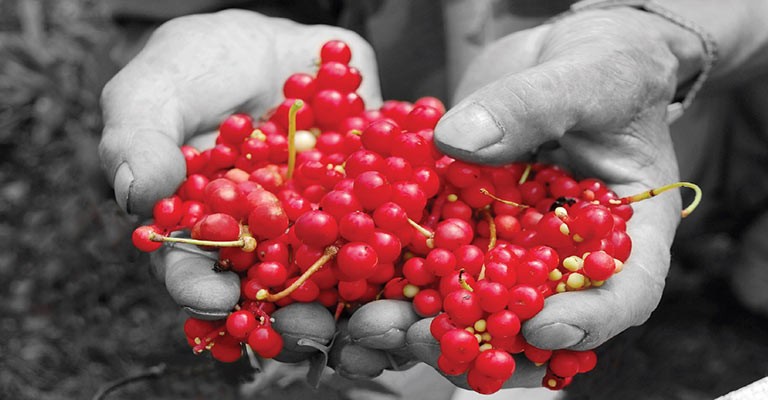 Omija, la baie du bonheur