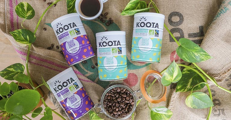 Koota