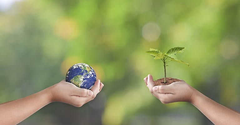 Connaître l'impact environnemental de ce que vous mangez.