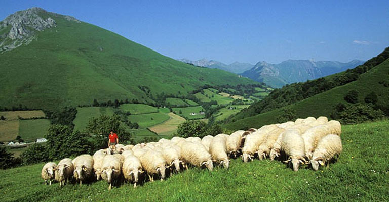 Agneau de Pâques, demandez l'Axuria