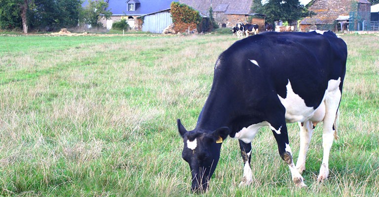 Trouver une ferme près de chez vous pour faire vos courses