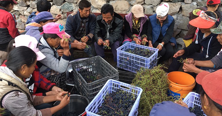 XiaoLing, le vin qui flirte avec les nuages